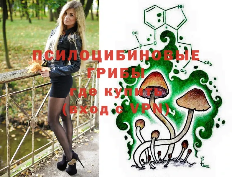 ОМГ ОМГ сайт  Котлас  Галлюциногенные грибы Magic Shrooms 